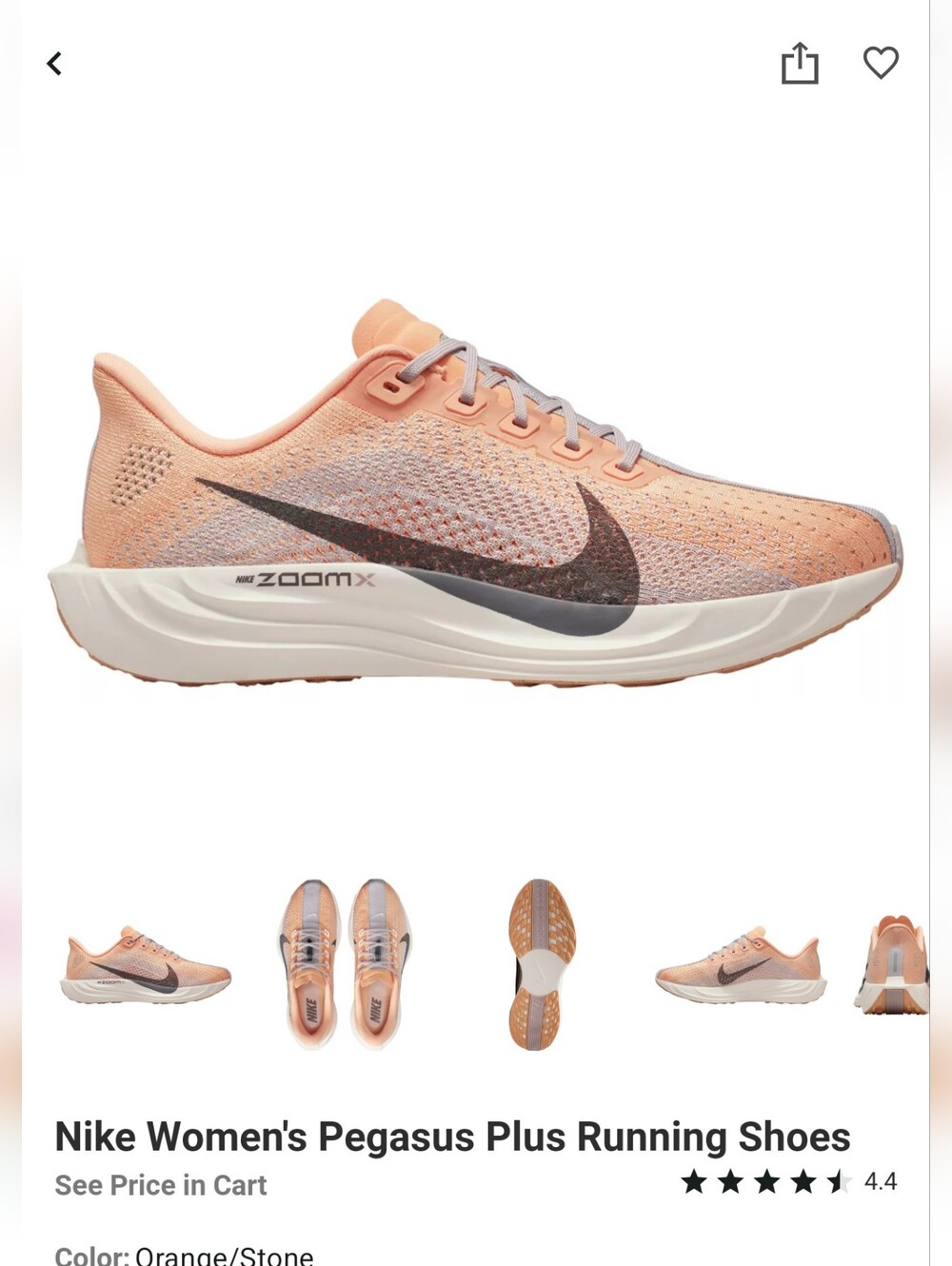 Nike Pegasus plus Womens shoes